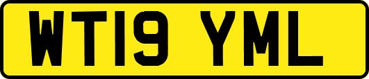 WT19YML