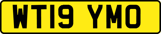 WT19YMO