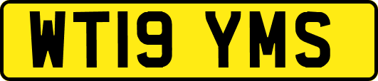 WT19YMS