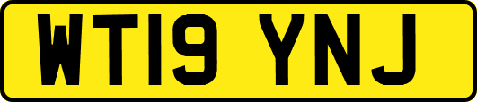 WT19YNJ