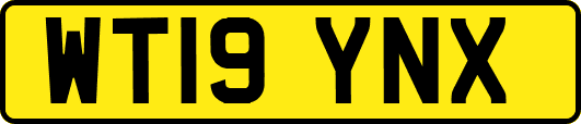 WT19YNX