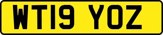 WT19YOZ