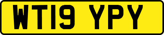 WT19YPY