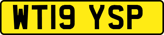 WT19YSP