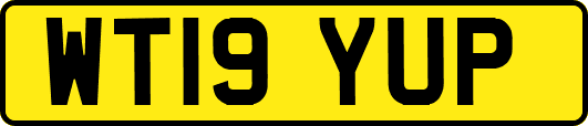 WT19YUP