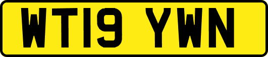 WT19YWN