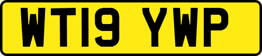 WT19YWP