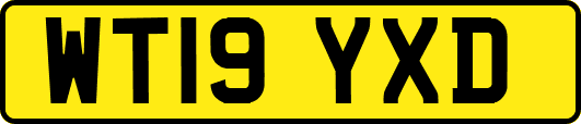 WT19YXD