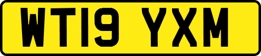WT19YXM