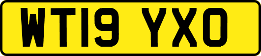 WT19YXO