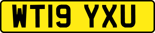 WT19YXU