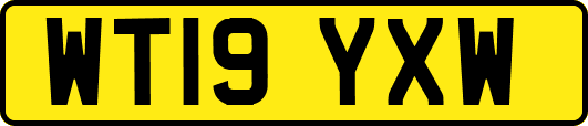 WT19YXW