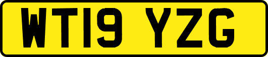 WT19YZG