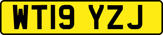 WT19YZJ
