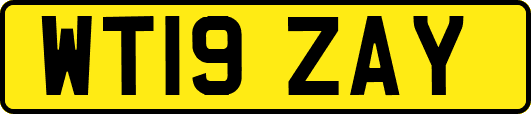 WT19ZAY