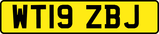 WT19ZBJ