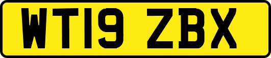 WT19ZBX