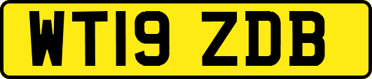 WT19ZDB