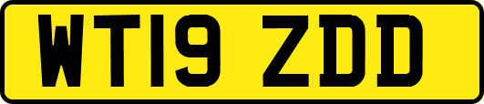 WT19ZDD
