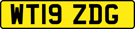 WT19ZDG