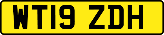 WT19ZDH