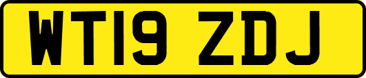 WT19ZDJ