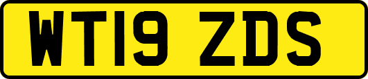 WT19ZDS
