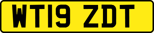 WT19ZDT
