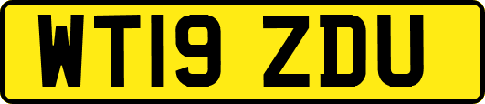 WT19ZDU