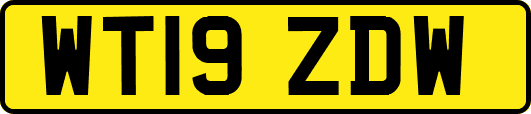 WT19ZDW