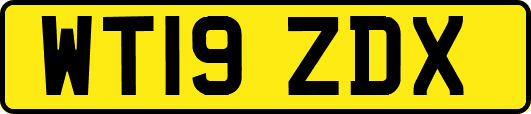 WT19ZDX