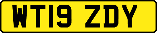 WT19ZDY