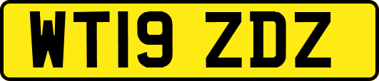 WT19ZDZ
