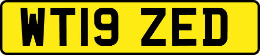 WT19ZED