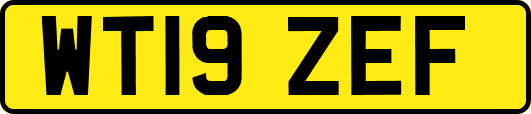 WT19ZEF