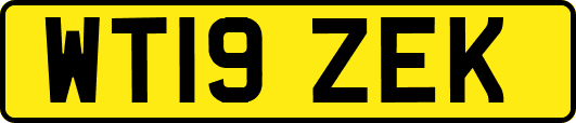 WT19ZEK