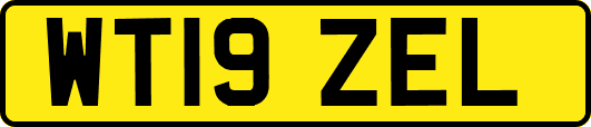 WT19ZEL