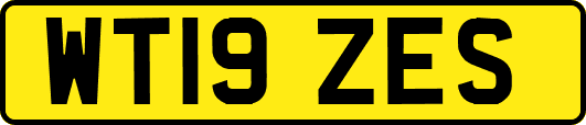 WT19ZES