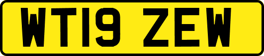 WT19ZEW