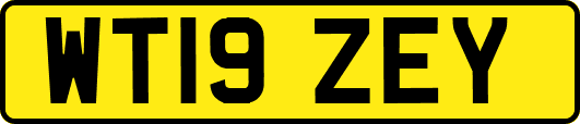WT19ZEY