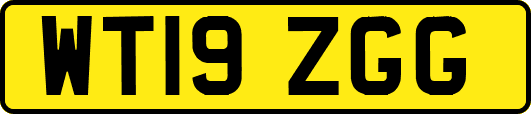 WT19ZGG