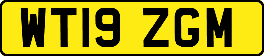 WT19ZGM
