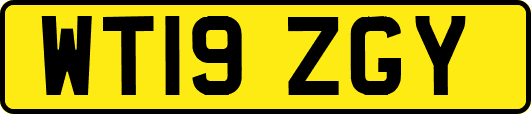 WT19ZGY