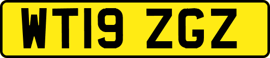 WT19ZGZ