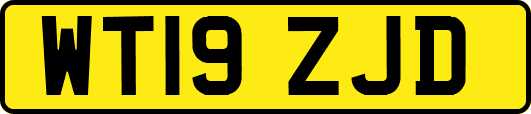 WT19ZJD