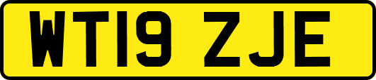 WT19ZJE