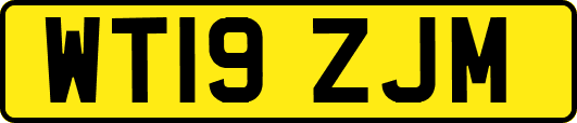 WT19ZJM