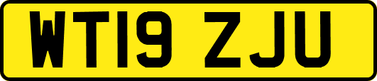 WT19ZJU