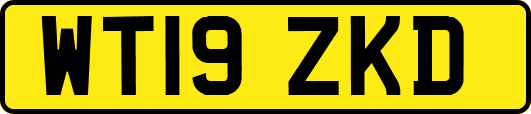 WT19ZKD