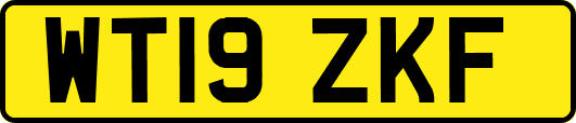 WT19ZKF